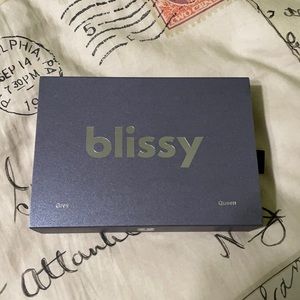 Blissy Grey Queen Silk pillowcase
